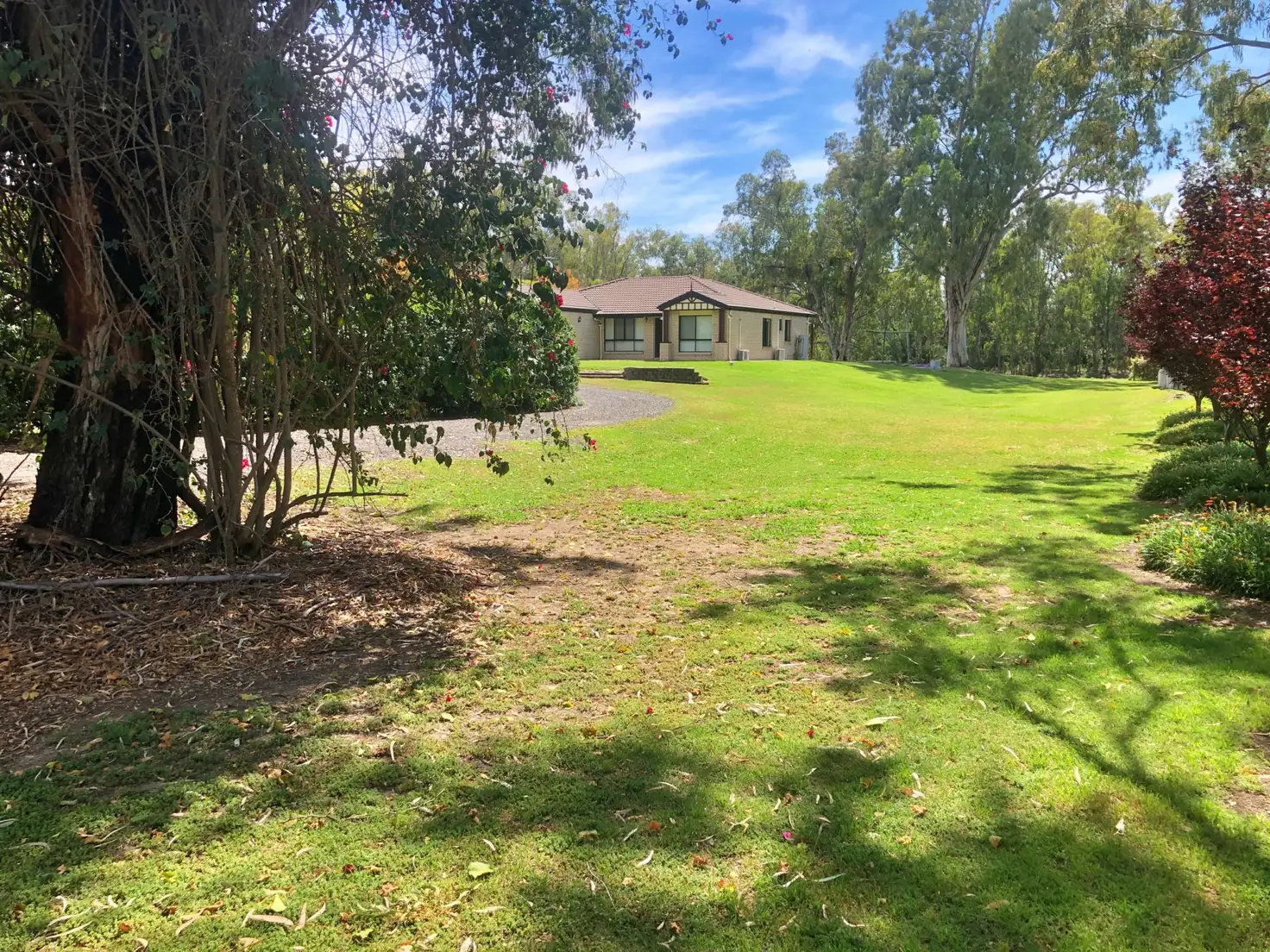 Main view of Homely house listing, 18 Blue Gums Dr, Goondiwindi QLD 4390
