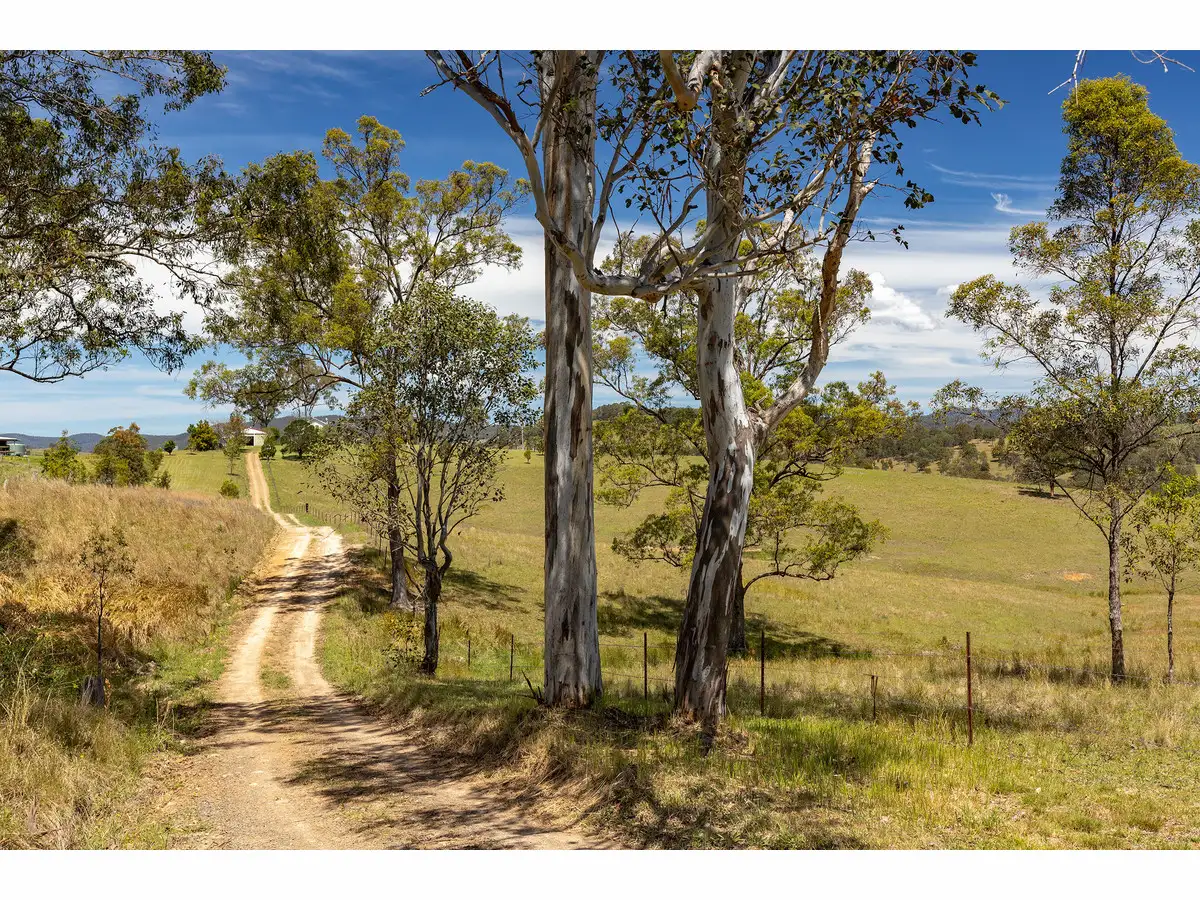 Main view of Homely rural property listing, 165 Bulby Brush Road, Bunyah NSW 2429