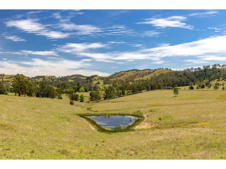 Sixth view of Homely rural property listing, 165 Bulby Brush Road, Bunyah NSW 2429