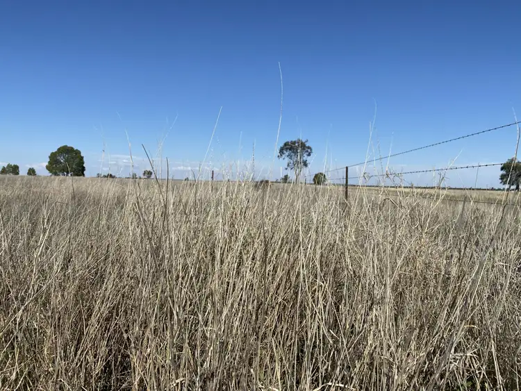 Third view of Homely land listing, Lot 109 Ona Ona Road, Roma QLD 4455