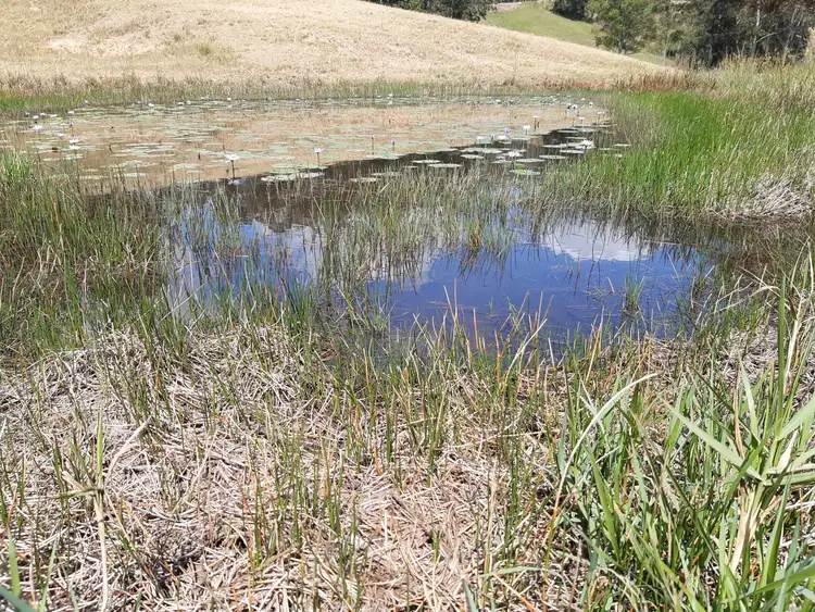 Third view of Homely land listing, Lot 3 82 Smiths Lane, Congarinni North NSW 2447