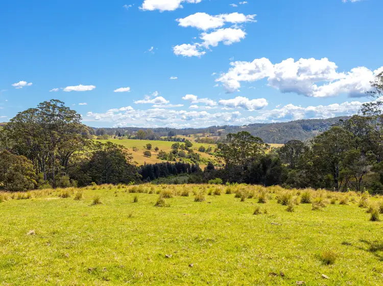 Fourth view of Homely rural property listing, 204 Beech Road, Elands NSW 2429