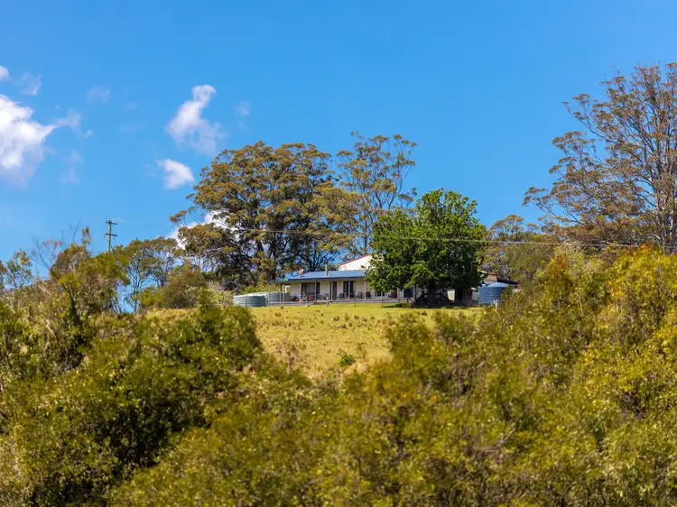 Fifth view of Homely rural property listing, 204 Beech Road, Elands NSW 2429