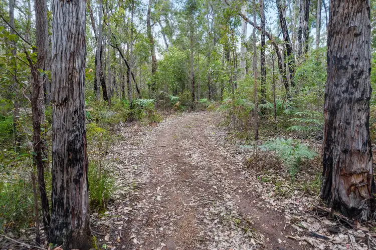 Seventh view of Homely land listing, Lot 28 Karri Lane, Quinninup WA 6258