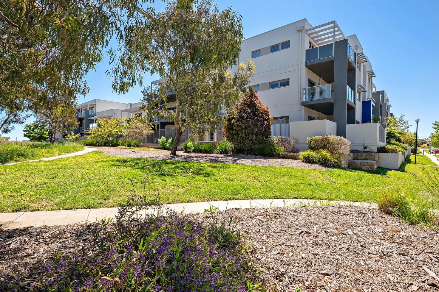 Main view of Homely apartment listing, 93/75 Elizabeth Jolley Crescent, Franklin ACT 2913