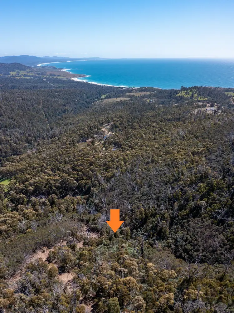 Fourth view of Homely land listing, 333 Davis Gully Road, Four Mile Creek TAS 7215