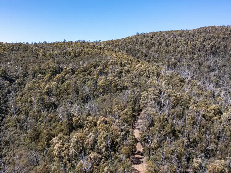Sixth view of Homely land listing, 333 Davis Gully Road, Four Mile Creek TAS 7215