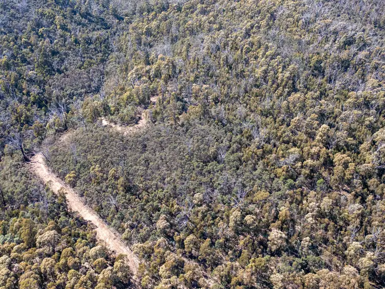 Seventh view of Homely land listing, 333 Davis Gully Road, Four Mile Creek TAS 7215
