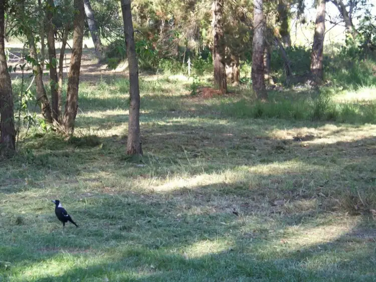 Second view of Homely land listing, 11 GOODSELL CRES, Lamb Island QLD 4184