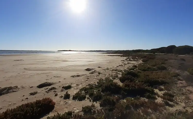 Third view of Homely land listing, Lot 102 Coorong Lane, Coorong SA 5264