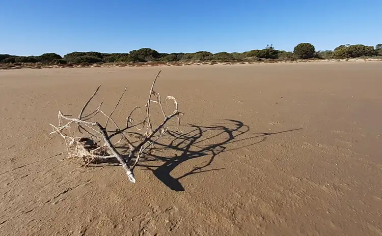 Fourth view of Homely land listing, Lot 102 Coorong Lane, Coorong SA 5264