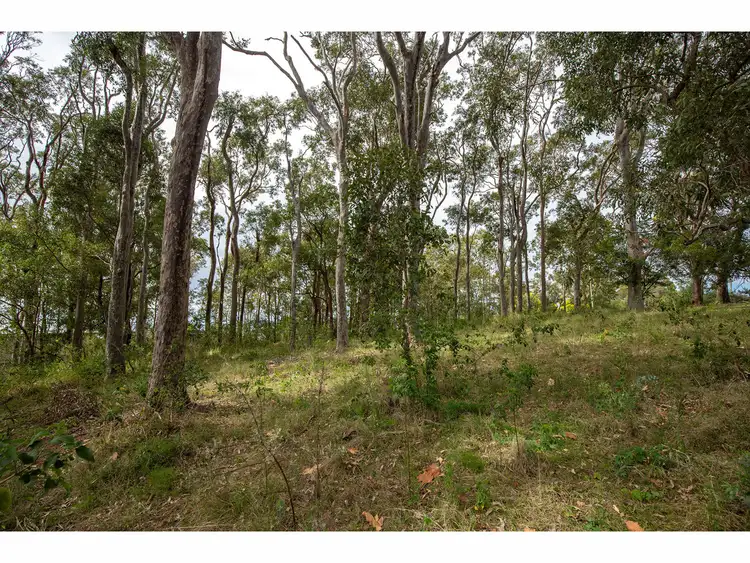 Fifth view of Homely land listing, 7 Elanora Street, Coomba Park NSW 2428