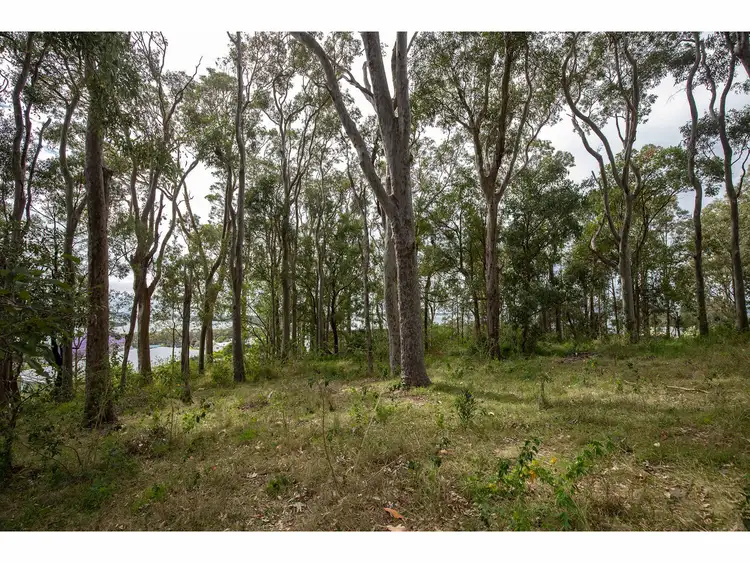 Sixth view of Homely land listing, 7 Elanora Street, Coomba Park NSW 2428