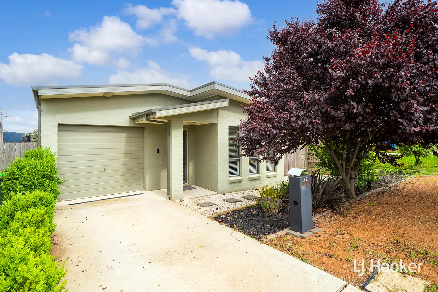 Main view of Homely house listing, 77 Wunderly Circuit, Macgregor ACT 2615