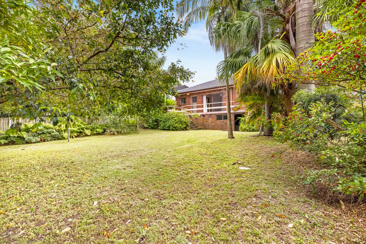 Main view of Homely house listing, 49 McIntosh Road, Dee Why NSW 2099