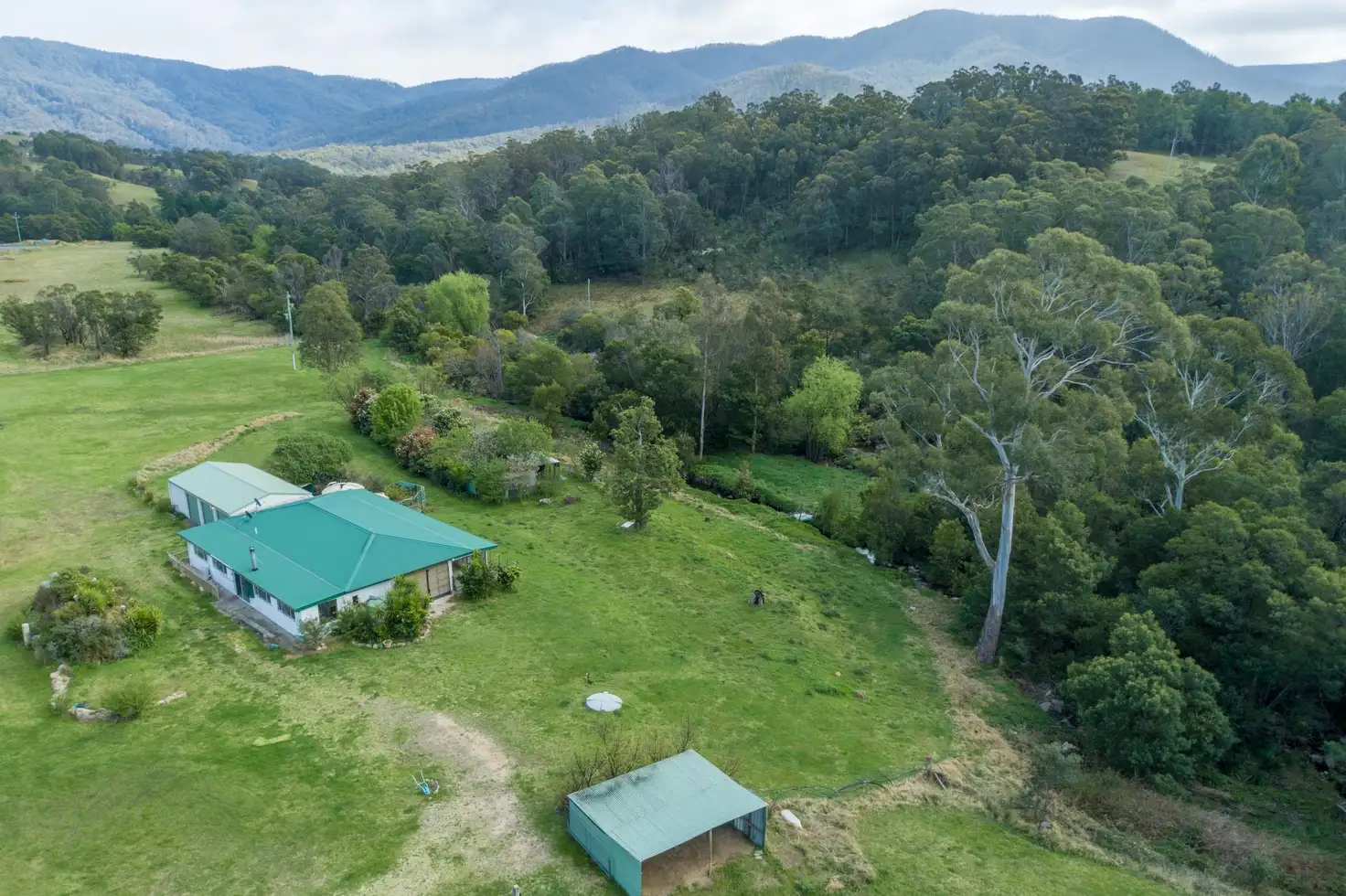 Main view of Homely rural property listing, 3534 Snowy Mountains Highway, Bemboka NSW 2550