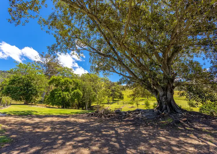 Third view of Homely rural property listing, 792 Mooral Creek Road, Strathcedar NSW 2429