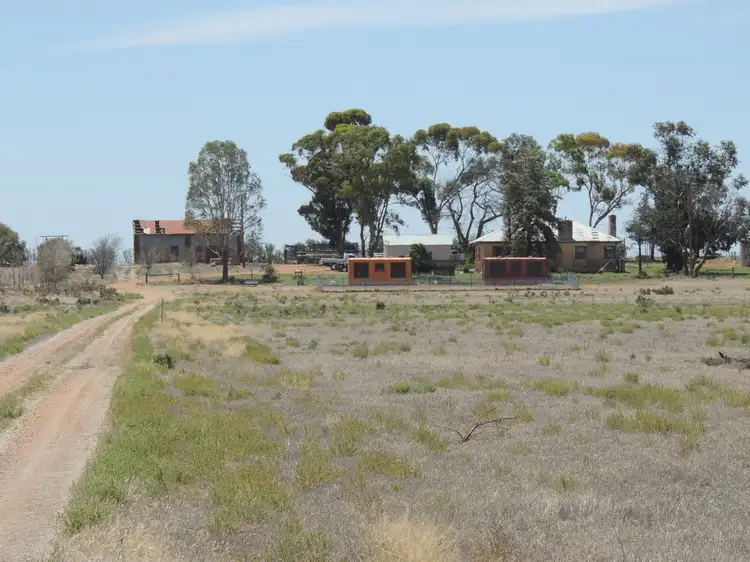 Main view of Homely house listing, 127 Louttits Lane, Koraleigh NSW 2735