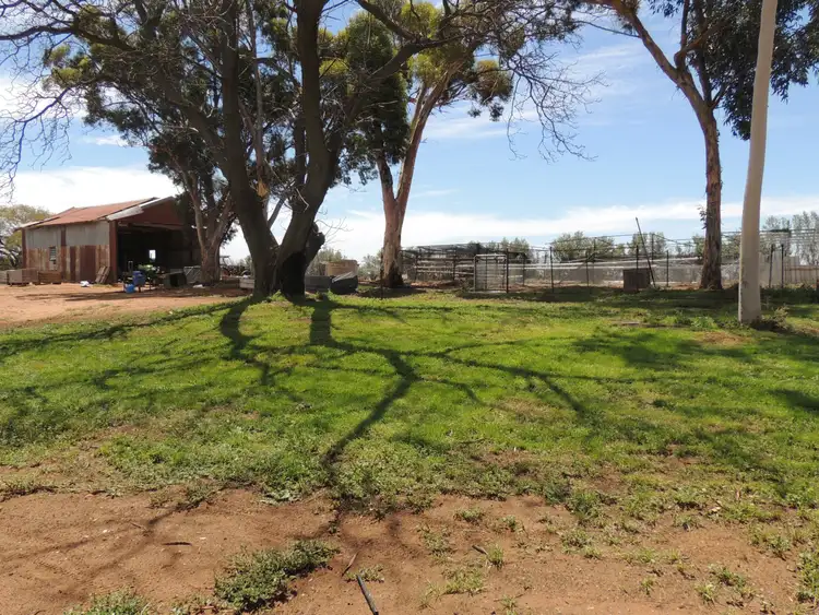 Seventh view of Homely house listing, 127 Louttits Lane, Koraleigh NSW 2735