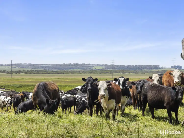 Fourth view of Homely rural property listing, 1877 Inverloch-Venus Bay Road, Tarwin Lower VIC 3956