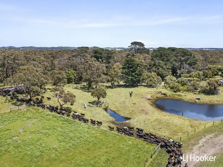 Seventh view of Homely rural property listing, 1877 Inverloch-Venus Bay Road, Tarwin Lower VIC 3956