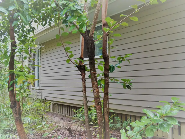 Fifth view of Homely house listing, 3 Parakeet Street, Macleay Island QLD 4184