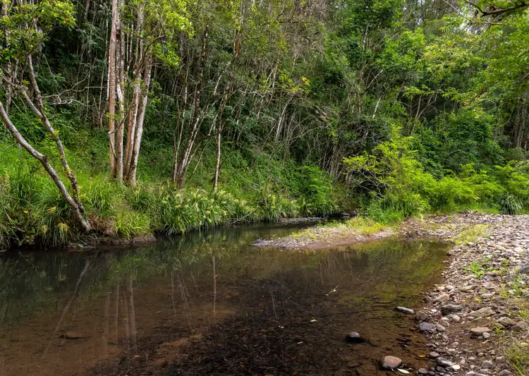Second view of Homely rural property listing, 1413 Mooral Creek Road, Mooral Creek NSW 2429