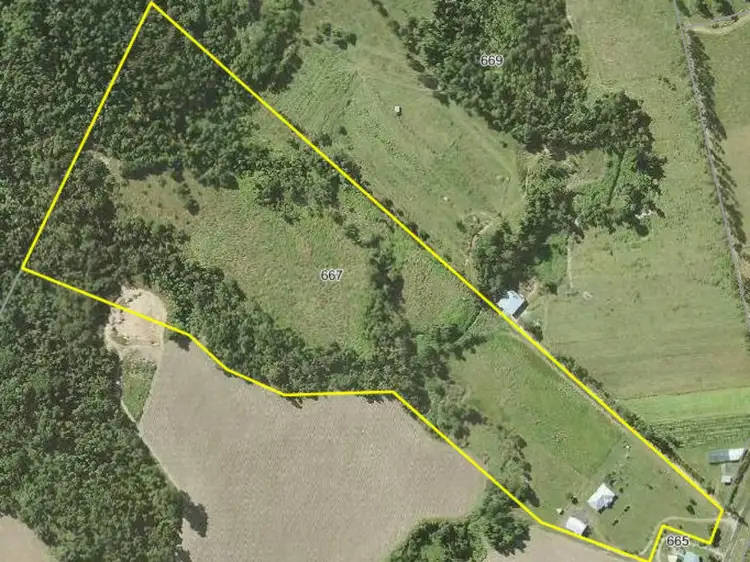 Third view of Homely house listing, 667 Old Tully Road, Feluga QLD 4854