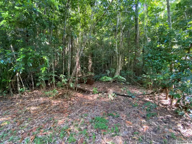 Fifth view of Homely land listing, L2-3 Sunshine Road, East Feluga QLD 4854