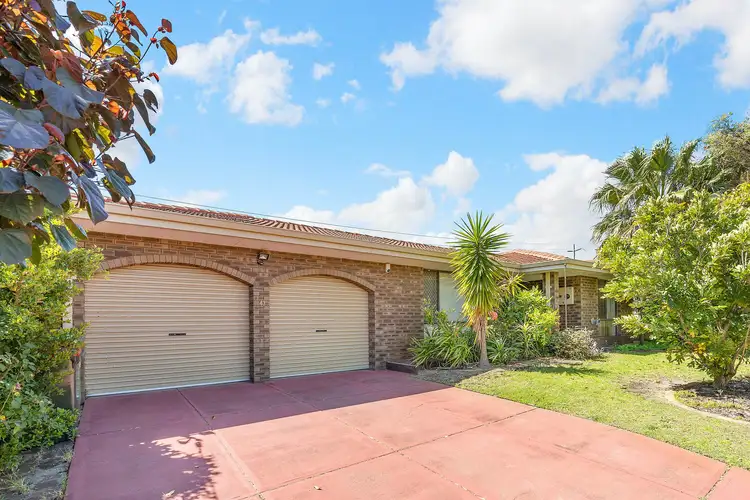 Main view of Homely house listing, 43 Dotterel Way, Yangebup WA 6164