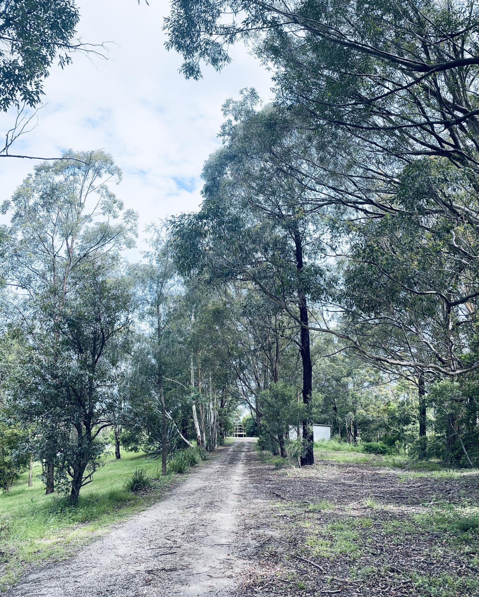 Main view of Homely house listing, 256 Newee Creek Road, Newee Creek NSW 2447