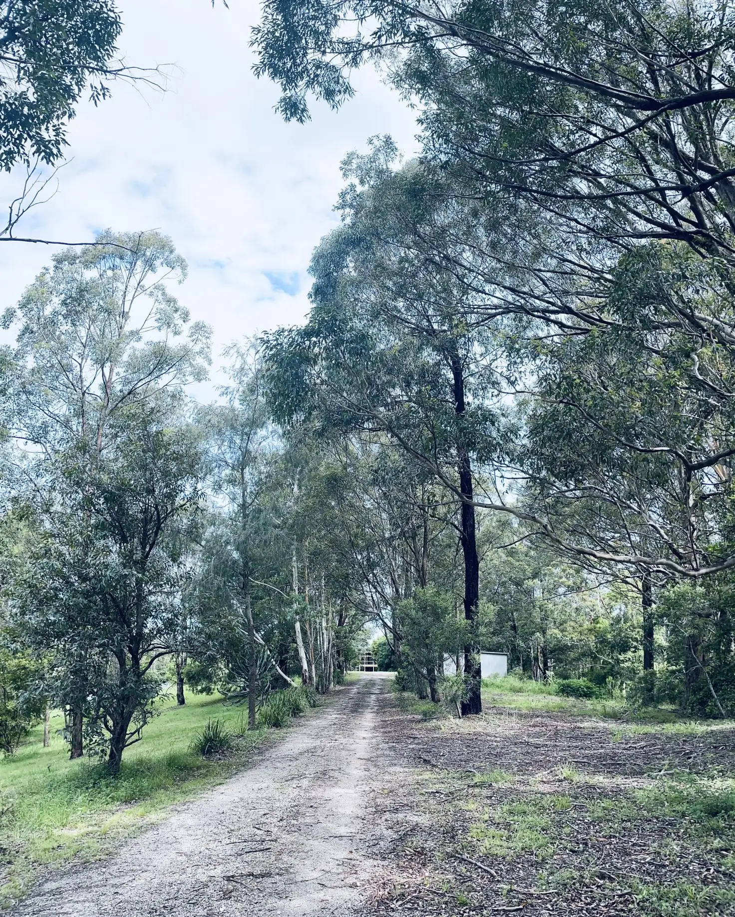 Main view of Homely house listing, 256 Newee Creek Road, Newee Creek NSW 2447