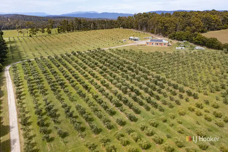 Third view of Homely house listing, 5 Elliston Drive, Latrobe TAS 7307