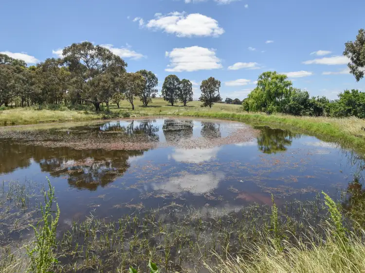 413 Maimuru SS Road Maimuru, Young NSW 2594