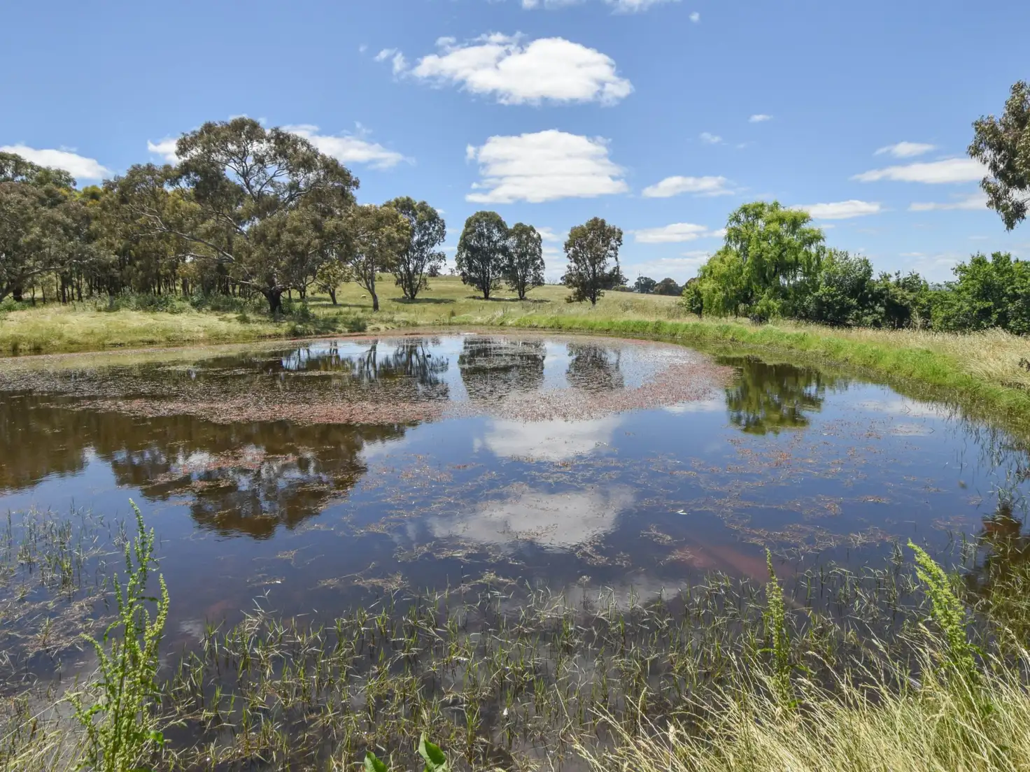 Main view of Homely rural property listing, 413 Maimuru SS Road Maimuru, Young NSW 2594