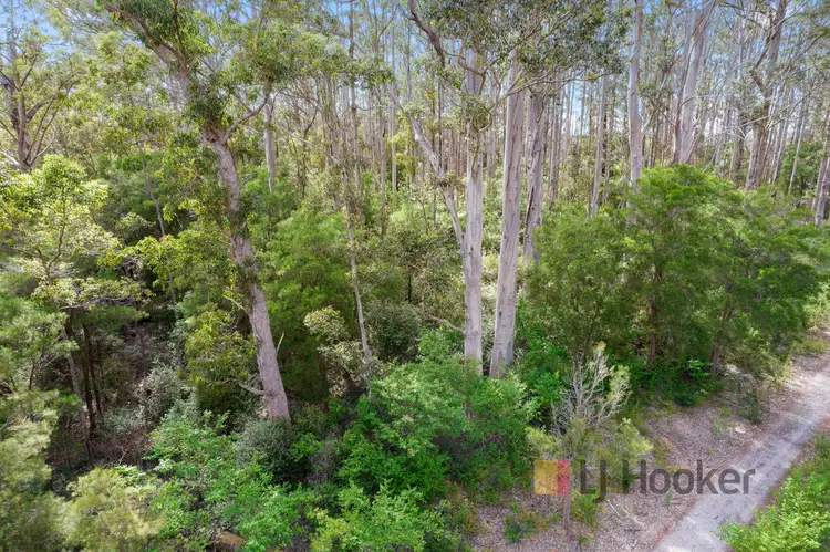 236 Guernsey Gully Road, Northcliffe WA 6262