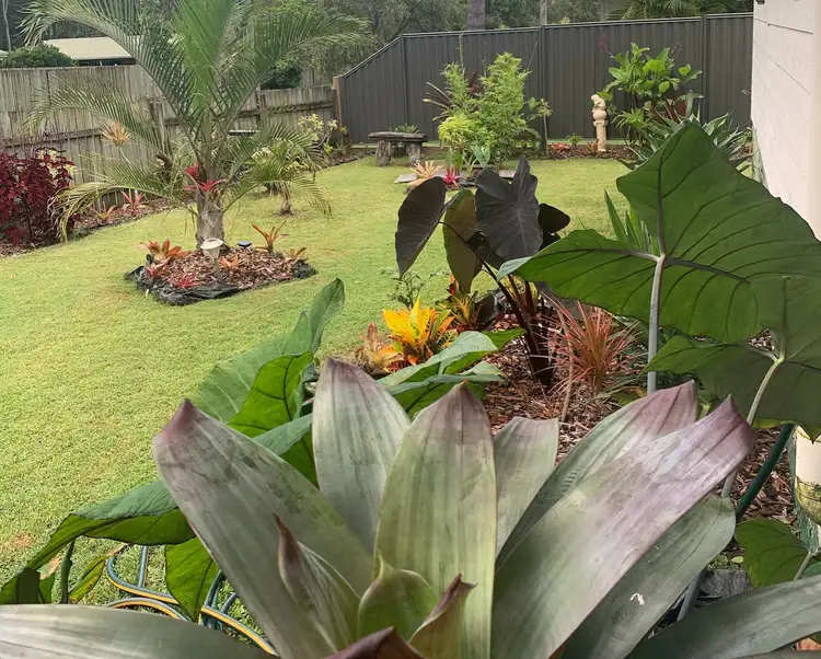 Main view of Homely house listing, 59 Vaughan Street, Aldershot QLD 4650