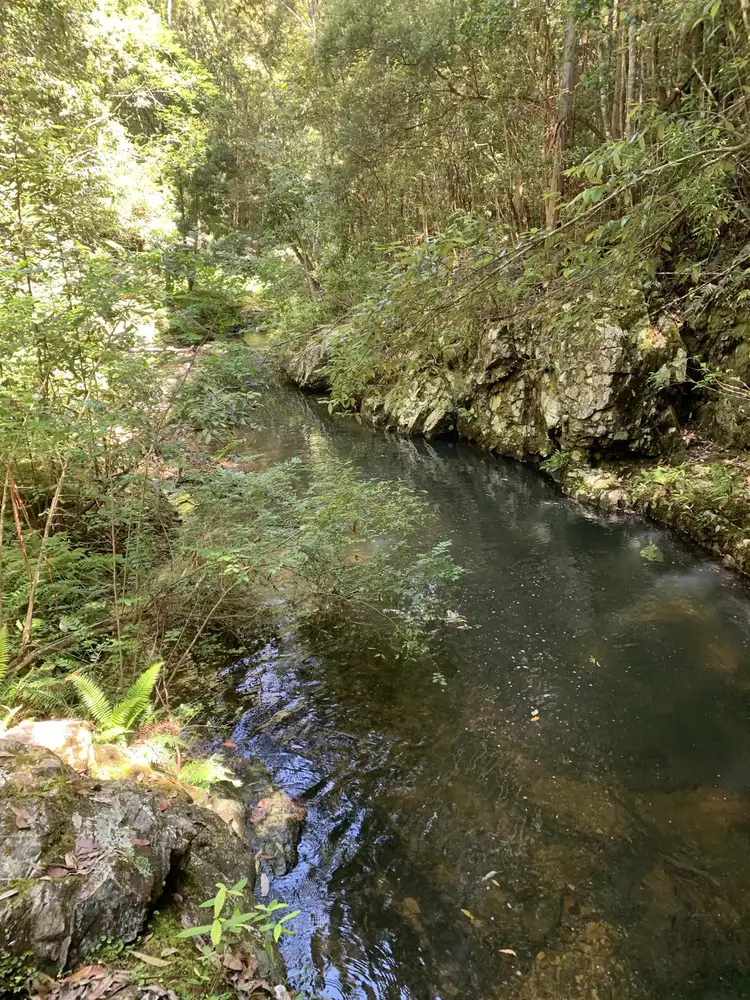 Second view of Homely rural property listing, 2957 Eastern Dorrigo Way, Brooklana NSW 2450