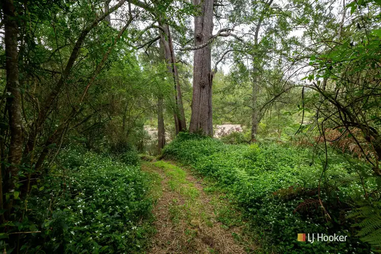 Fourth view of Homely rural property listing, 283 Glen Oaks Road, Greendale NSW 2550