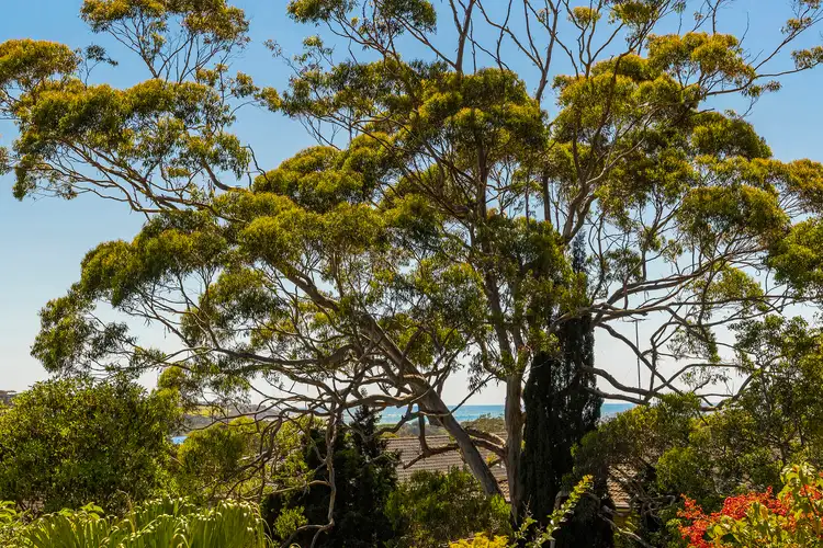 Fourth view of Homely apartment listing, 16/8 Westminster Avenue, Dee Why NSW 2099