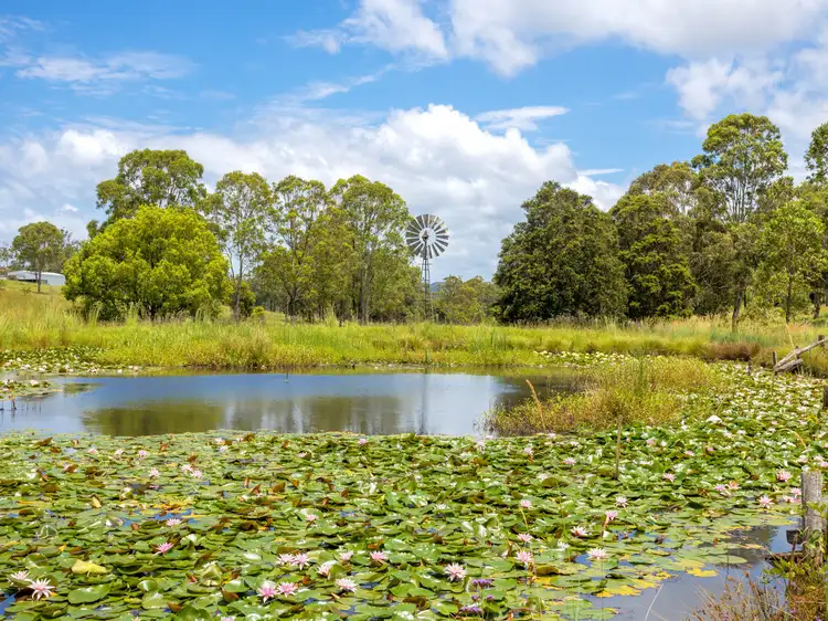 Main view of Homely house listing, 852 Wang Wauk Road, Wang Wauk NSW 2423