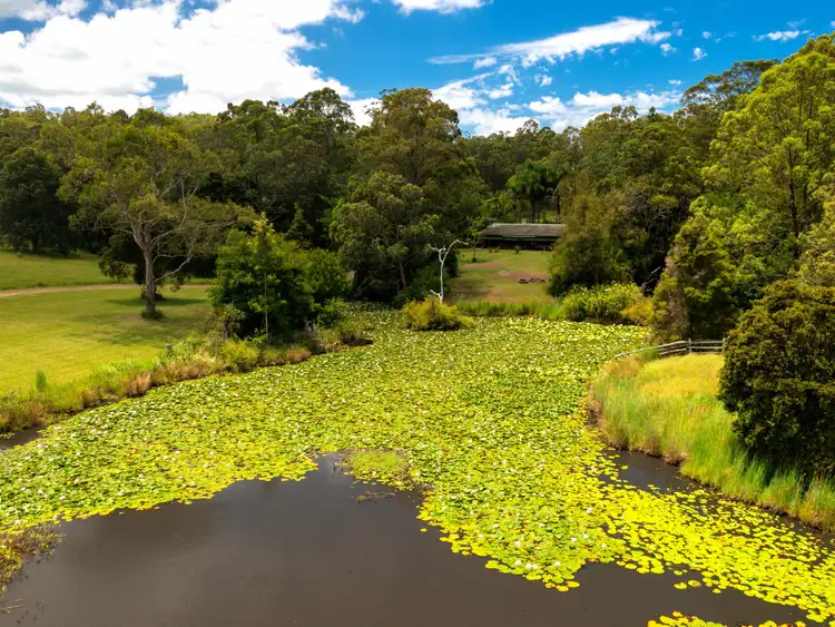 Fifth view of Homely house listing, 852 Wang Wauk Road, Wang Wauk NSW 2423