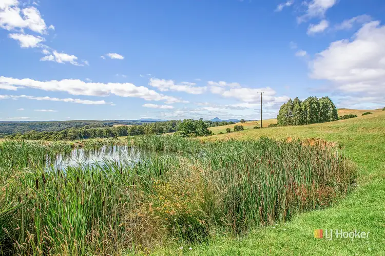 Fourth view of Homely house listing, 542 East Yolla Road, Yolla TAS 7325