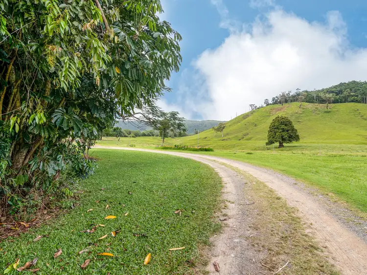 Fifth view of Homely land listing, 15-17 Daly Street, Daintree QLD 4873