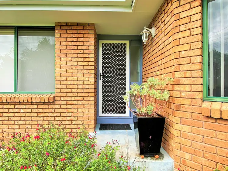 Second view of Homely house listing, 31 Tully Street, St Helens TAS 7216