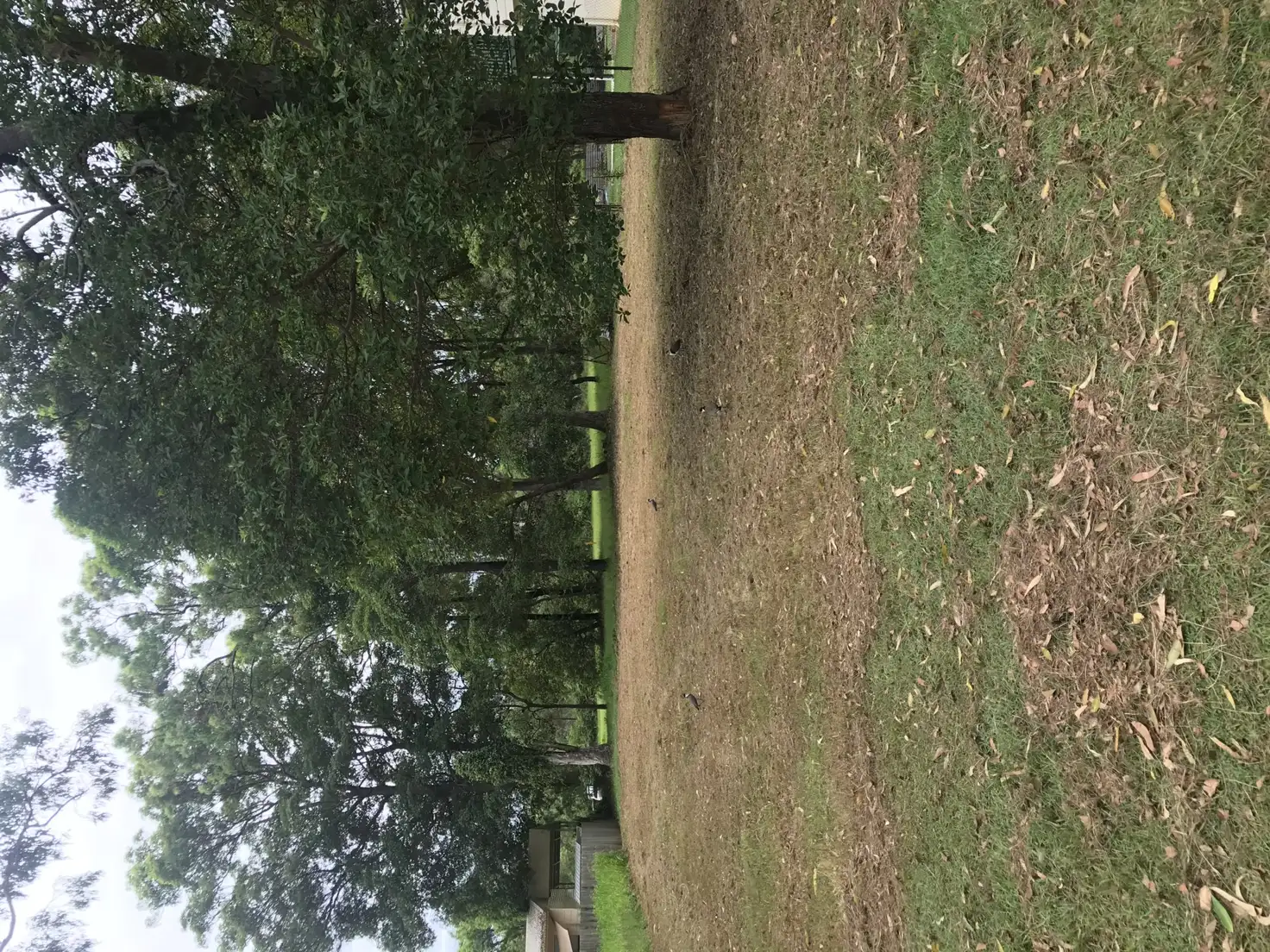 Main view of Homely land listing, 11 Pookanah, Russell Island QLD 4184