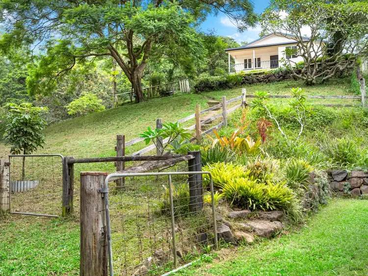 Third view of Homely house listing, 1488 Currumbin Creek Road, Currumbin Valley QLD 4223