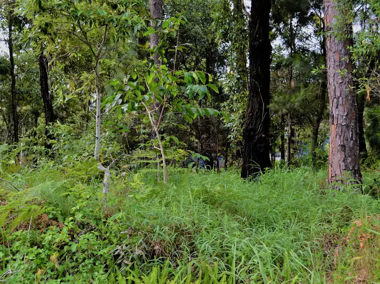 Fifth view of Homely land listing, 7 Udara Drive, Macleay Island QLD 4184