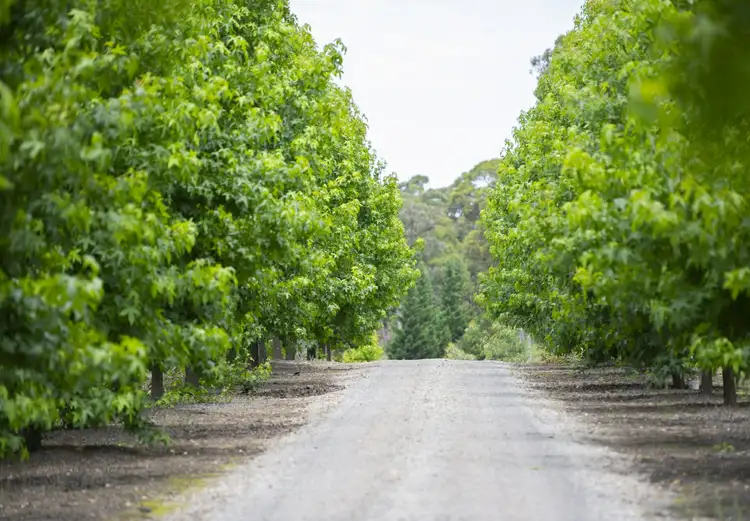 Fifth view of Homely rural property listing, 140 Old Coowong Rd, Canyonleigh NSW 2577