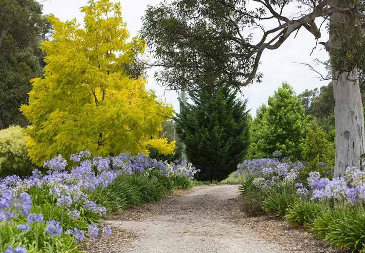 Sixth view of Homely rural property listing, 140 Old Coowong Rd, Canyonleigh NSW 2577